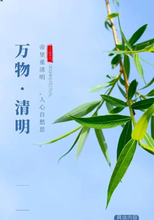 清明节还念故人句子（以感恩之心）