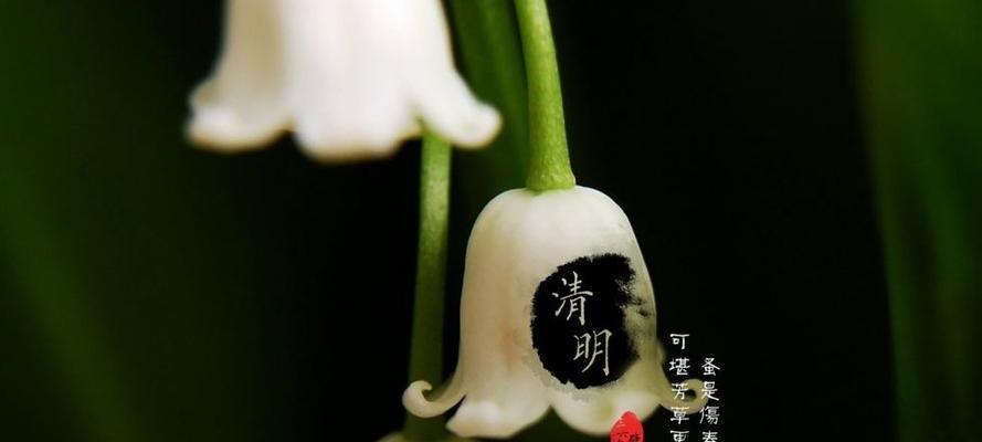 2021清明节祝福语（缅怀先人，平安幸福；）