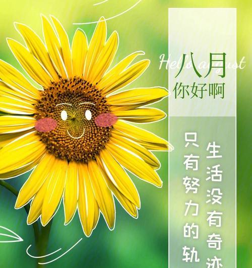 7月再见8月你好的说说朋友圈（饮泉流岁月，染素锦七月）