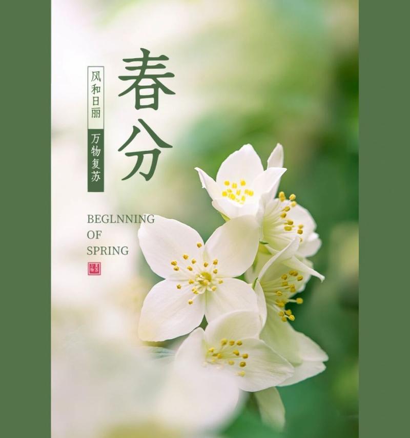 适合春分发的说说（花香与风的约定）