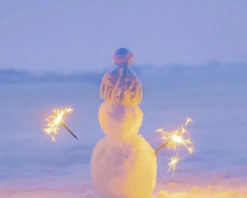 有关适合大雪发朋友圈的好句句子的短句（瑰丽的雪景，美不胜收）