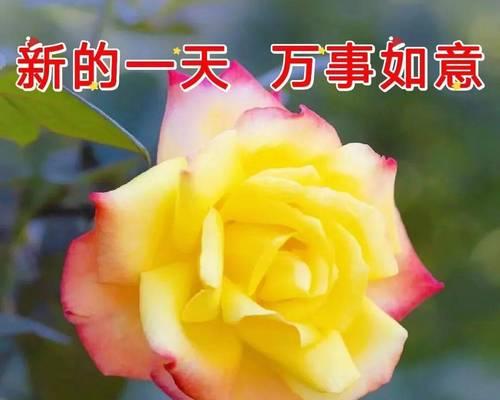 2020年教师节祝福语大全（教师节，因你而更美丽）