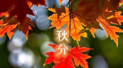 秋分秋分祝福语（2023年秋分，时光如梦，祝福如诗）