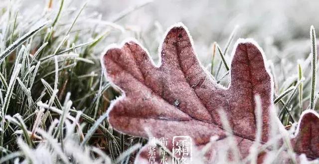 霜降的祝福语短句（《霜降温馨祝福》）