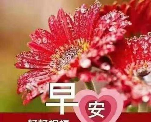 有关2023早安祝福语的短句子（2023早安祝福语：唤醒美好的一天）