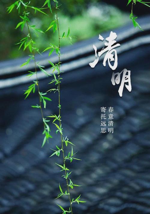 清明节短信祝福语大全（清明节）