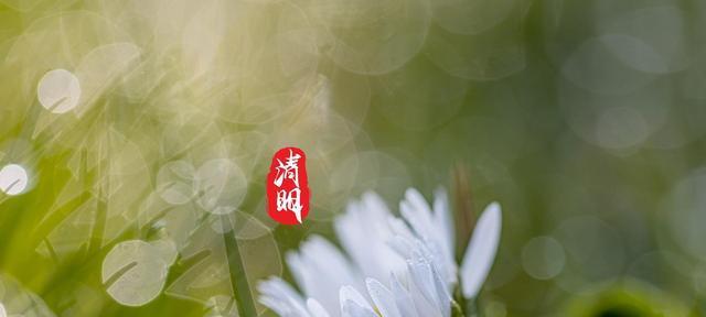 清明节微信文案（清明节微信温馨祝福语）