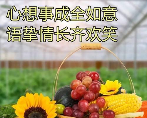 早安暖心情话给女朋友的（用25个唯美短句，为她创造美好的一天）