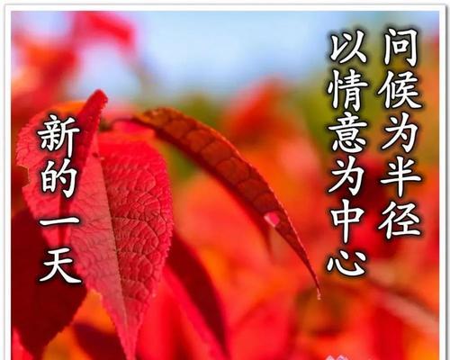 早安祝福朋友说说心情短语（清晨的美好祝福——早安朋友）