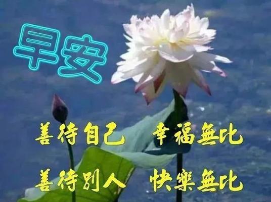 早安祝福朋友说说心情短语（清晨的美好祝福——早安朋友）