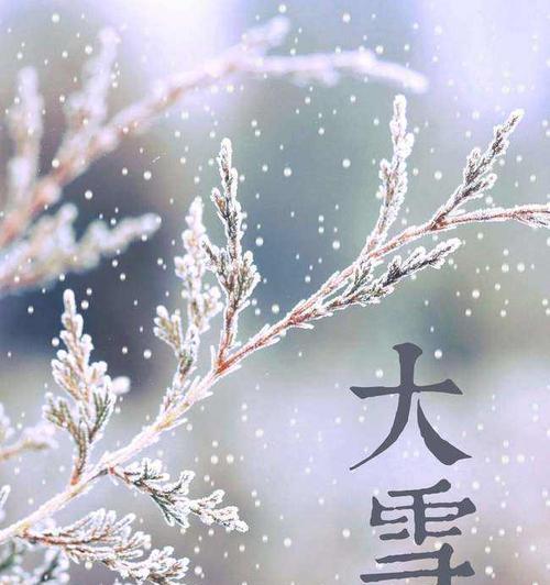 有关大雪节气的唯美短句的句子摘抄（大雪情怀）