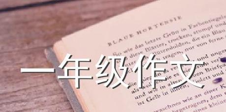 《我得到了表扬》作文（《一位小学生的荣誉》）