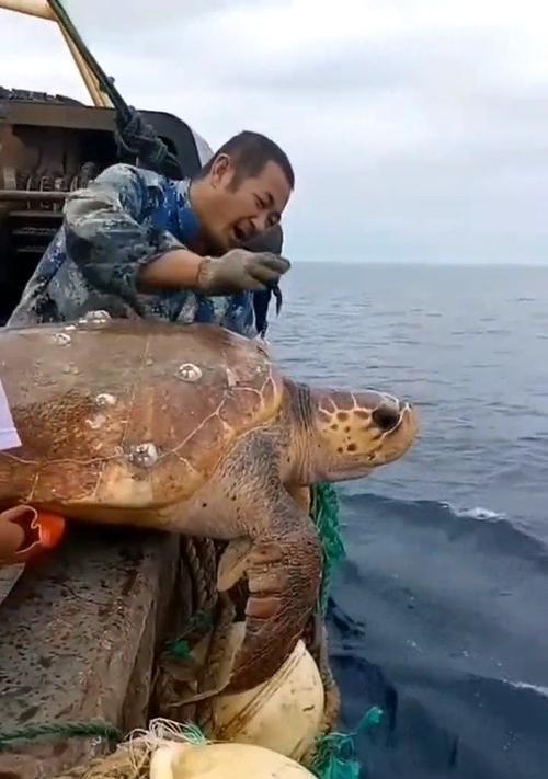 以保护大海母亲为话题的作文怎么写（《保护大海母亲——一个少女的奋斗故事》）