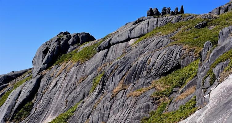 以《熟悉的地方也有风景》为题的作文（《故地重游》）