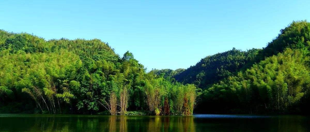 以旅行中品味美景为话题的作文题目（《从迷失到品味，我在旅途中寻找美景》）