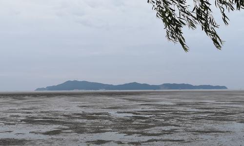 以风景就在近处为话题的作文800字（《近处风景》）