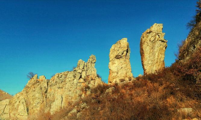 以我心中的风景为题写600字以上的作文（《心灵的风景——在思维的彼岸》）