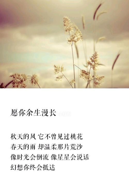 关于幸福的经典短句（《幸福的花园》）