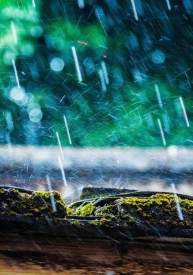 有关雨的优美的句子（探寻雨的美妙世界）