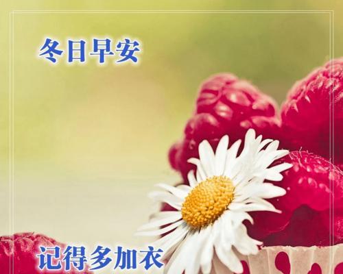 关于祝福的唯美句子简短（祝福之花：唯美祝福句子集锦）