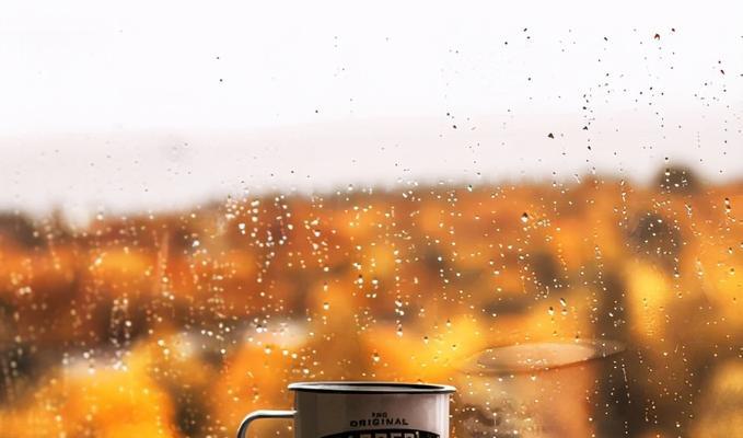 有关下雨唯美句子的好句子摘抄（倾听雨声，感受秋意）