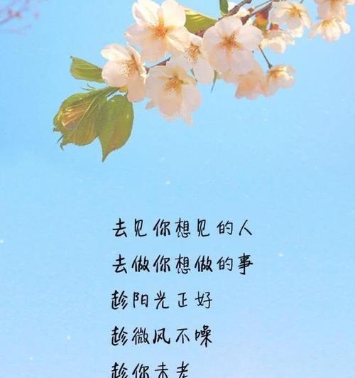 有关人生唯美句子的句子短句（追逐夕阳，寻觅人生意义）