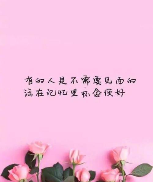 有关人生唯美句子的句子短句（追逐夕阳，寻觅人生意义）