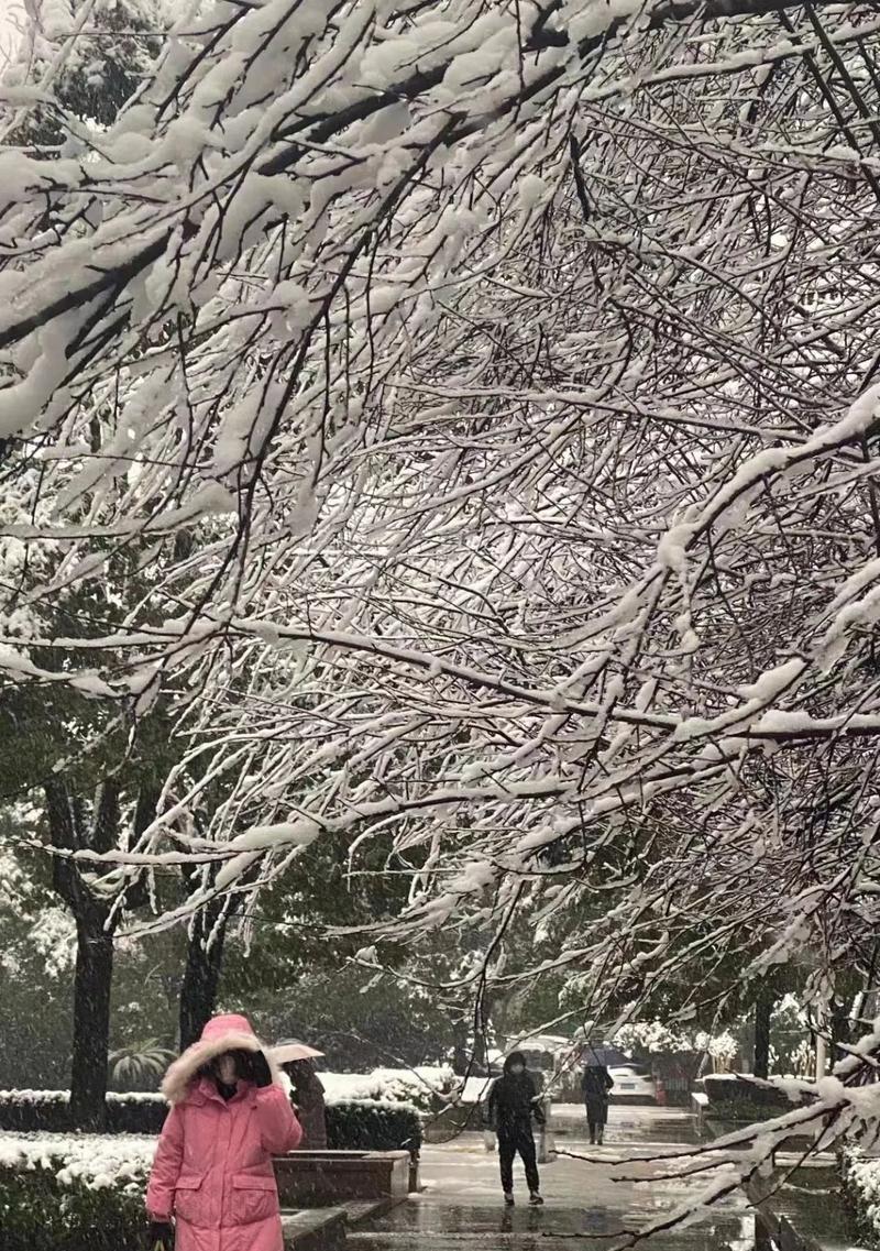 下雪天的说说心情短语（冬日白雪的唯美世界）