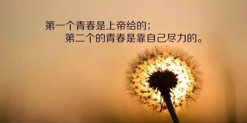 有关最新人生感悟经典句子摘抄的句子有哪些（唯美短句篇）