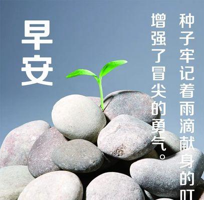 优美早安句子朋友圈（清晨的花语）