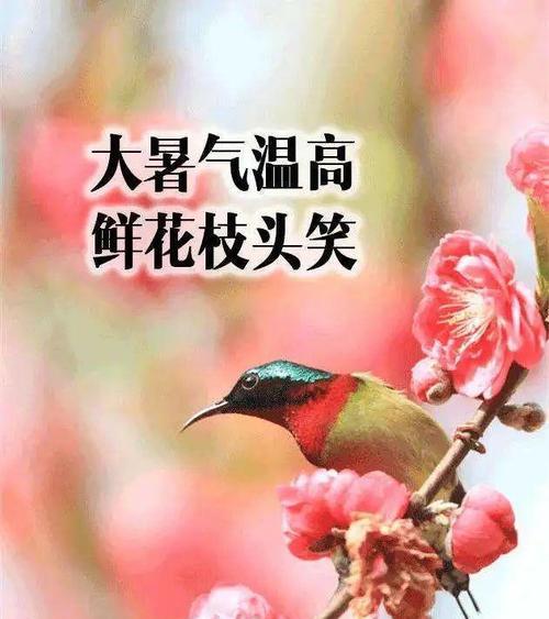 2021大暑节气说说精选（炎炎夏日送清凉）