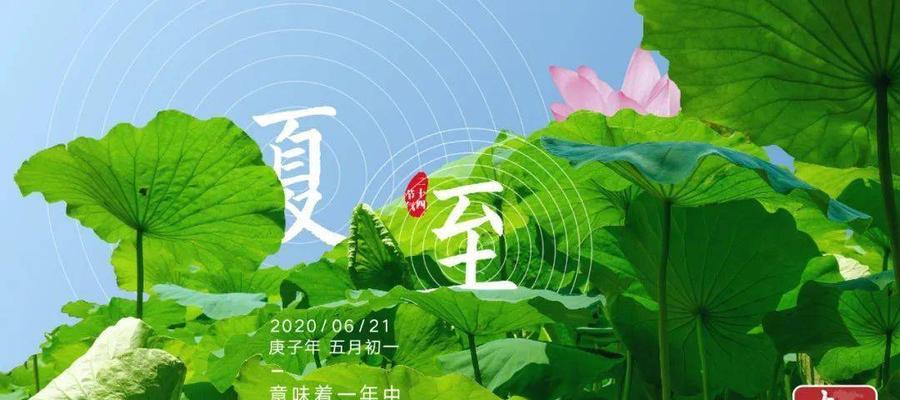 夏至节气问候语（夏至节气祝福语）