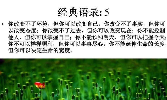 有关人生追求的名人名言（追寻人生之路——寻找那灵魂的归处）