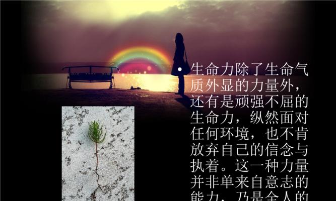 永不放弃的名言有哪些（永不放弃，坚持不懈）