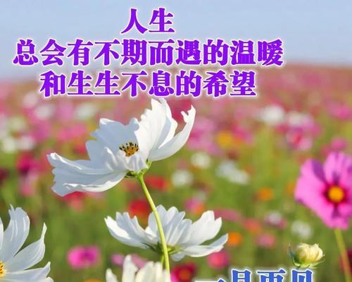 一月再见二月你好的朋友圈说说（再见二月，你好2023年）