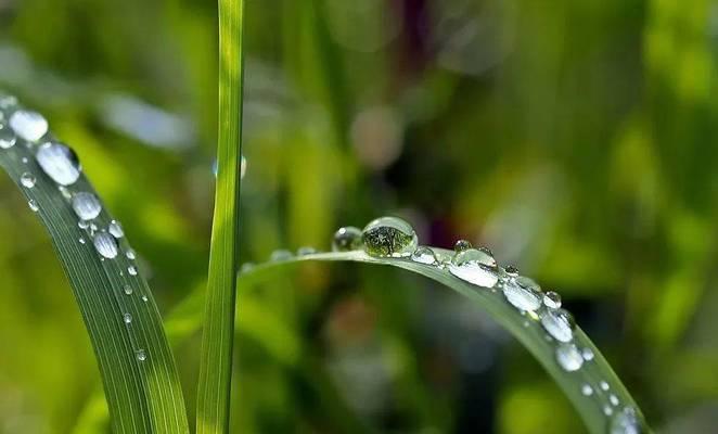 有关一场秋雨一场凉的句子2023的好句摘抄（秋雨之诗）