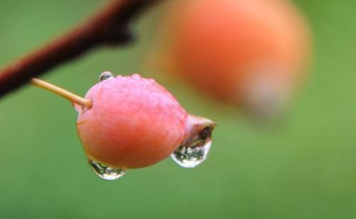 一场秋雨一场寒的经典语录（秋雨一场寒，落叶凋零）