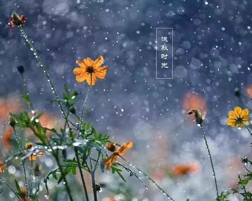 一场秋雨一场寒情感说说（一场秋雨，一场寒意）