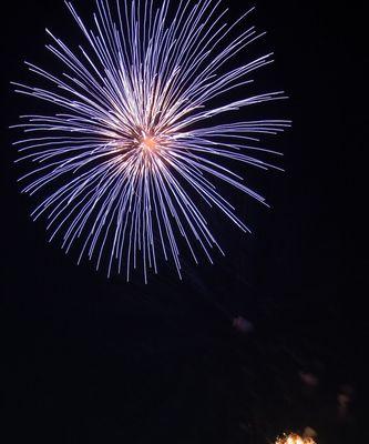 《烟花》句子（夜幕中烟花绽放）