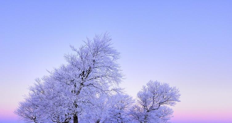 关于雪的优美句子短句（凝结纯洁的雪花）