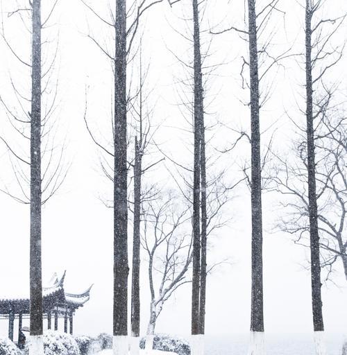 关于雪的优美句子摘抄短句（《以雪句子经典赏析》——探寻雪花的多彩世界）