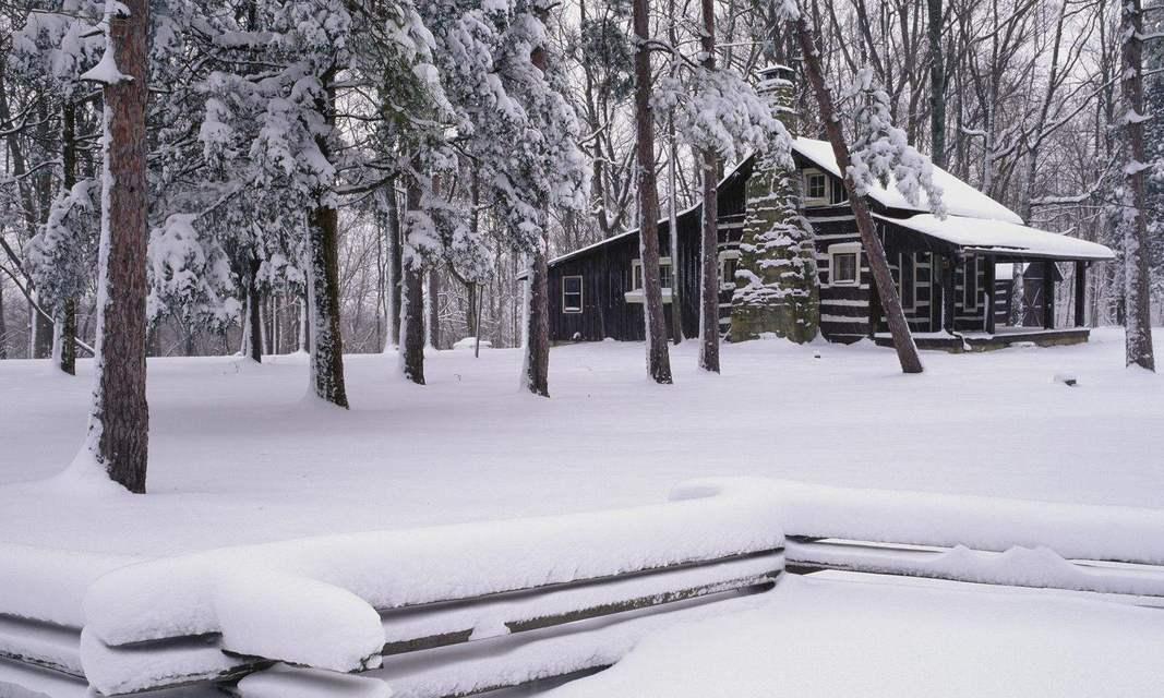 关于雪的优美句子摘抄短句（《白雪纷飞，静享天籁》）