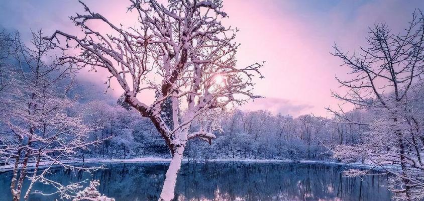 关于雪的优美句子摘抄短句（《白雪纷飞，静享天籁》）