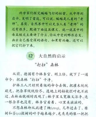 关于大自然给我们启示的作文（《大自然的启示》）