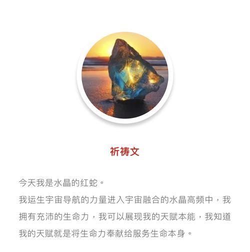 生命因奉献得以延伸作文（《生命因奉献而美丽》）