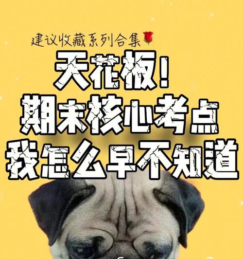 学贵在坚持作文600字（《坚持学习，扬帆远航》）