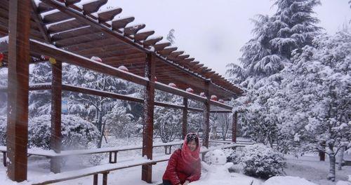 冬天的一场雪作文300字三年级（《雪花飘落时》）