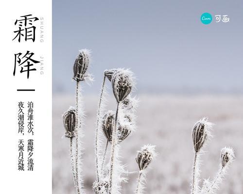 霜降节气走心文案（《霜降清韵》——冬季静谧的美丽）