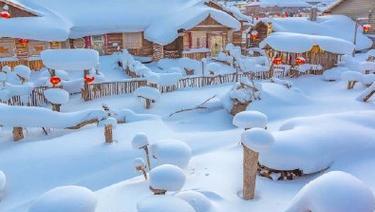 今年下第一场雪的说说（2023年初雪唤醒了我的心灵）