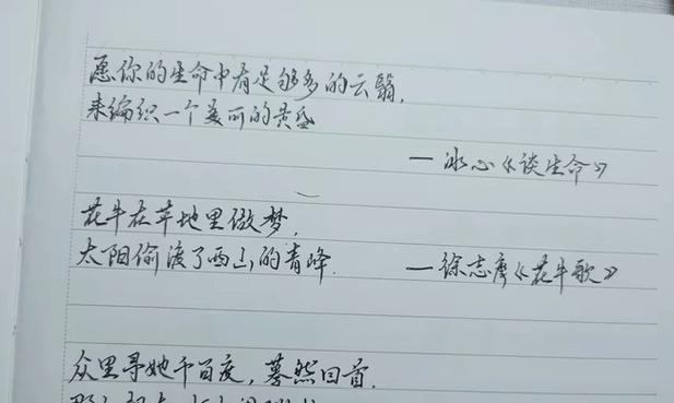 有关书的佳句（以书为笔，以字为画）